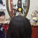 수화 헤어톡 이미지