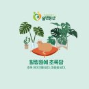 물댄동산 어린이집 | [공지] 힐링원예 초록담입니다