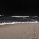 강릉 안목해변(야간) 이미지