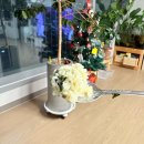 (주)메가마트 메가도매센터 천안점 | 집에서 홍게찌는 법, 실패없이 홍게찌는 시간부터 손질까지 꿀팁 추천