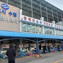 영금정활어회센터