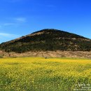 제주의사계 이미지