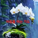 도무지 Daum카페