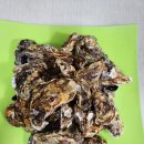 (주)알로젠 이미지