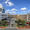 대구남구치매안심센터 이미지