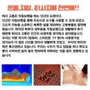 3에이치스마트지압침대 네이버블로그