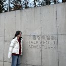 모험담 | 제주 동쪽 구제 독채숙소 “모험담” 내돈내산 후기