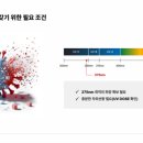 비치움 이미지