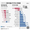 지난 1년간 세계 주요 통화환율, 주가지수 변화 - 대한민국이 독보적 이미지