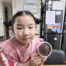 행복문방구 | 260412<d+2603>토요일, 전주 송천동 미미문방구 두바이 쫀득쿠키 말랑이 두쫀쿠 스퀴시 구매 후기