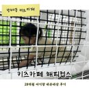 주차28 | [방배동 키즈카페] 해피컵스 28개월 아기랑 주말 내돈내산 후기 (주차, 놀거리)