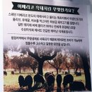 착한소(용호점) 이미지