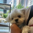 아뜰리에멍 이미지