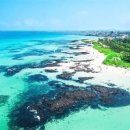 협재 바다의 선물 이미지