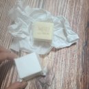 김밥버거 파주점 | 2024 평화롭고 무해한 반려견동반 비건페스티벌 2탄 후기 (반려견과 안내광고영상을 찍었습니다)