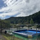 자연애스토리 이미지