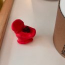 서울건우정형외과의원 이미지