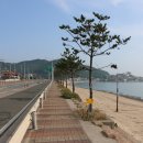 부흥리 방파제 앞 이미지