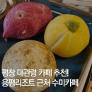 (주)블루너츠 | 평창 대관령 카페 추천 용평리조트 근처 수미카페 (+진태원 웨이팅 맛집)
