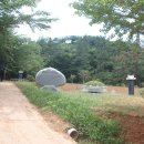 벌교읍사무소 이미지