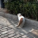 부모를 위한 실크로드 路 | 진짜로 맥주마시러 간 칭다오 여행기 -2-