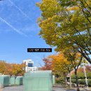 주정차49 | 11월 일상1: 겨울?그리고 새로운 시작(국립아시아문화전당 루피, 신혼생활, 운암자이포레나 임장)