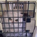 잔다냥 이천점 이미지