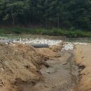 대주 농장 이미지