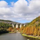 용소웰빙공원 이미지