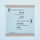 충남 공주여행 가볼만한 곳, 백제 고도의 역사를 담은 공산성에 다녀온 후기