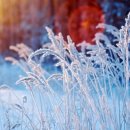 숲이랑농원 이미지