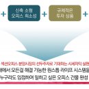 올인라이브