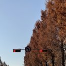 돈의비밀 - 13. 나의 시간과 투자의 시간 | 전주 운전연수 찐 방문 수업 내돈 후기(+비용)