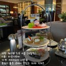 라운지앤 티스토리