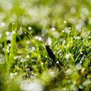 초막골 생태공원 이미지