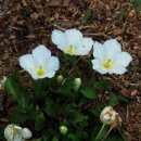 수토산방 이미지