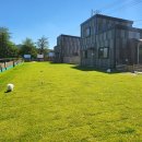 강아지풀 애견 이미지