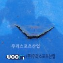 일신여자상업고등학교 이미지