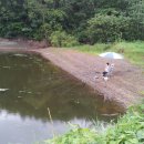 새(고경) 이미지