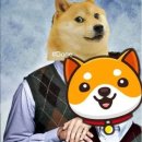 도지 이미지