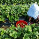 소탐농장 이미지