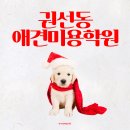 천만농장 | 수원 권선동애견미용학원 후기(반려견 동반 가능)