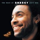 Shaggy - Boombastic 이미지