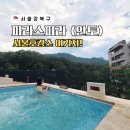 팀버제이 | 서울 파라스파라 호텔 안토 객실 수영장 후기