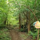 성기목장 이미지