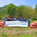 수풀 환경방송