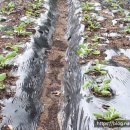 대방농장 이미지