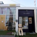 육림도 이미지