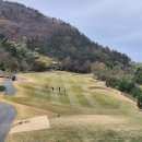 골든오션 티스토리