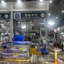 영일수산 | 수원 농수산물 도매시장 영일수산 후기 - 수원 농수산물 시장에서 석화 + 가리비 3kg 찜해먹기, 쭈꾸미...